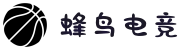 蜂鸟电竞 – 赛事直播、数据与分析一站式平台